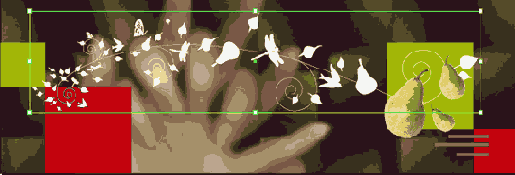    Illustrator