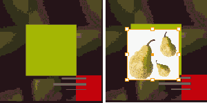    Photoshop    