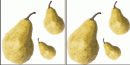    Photoshop    